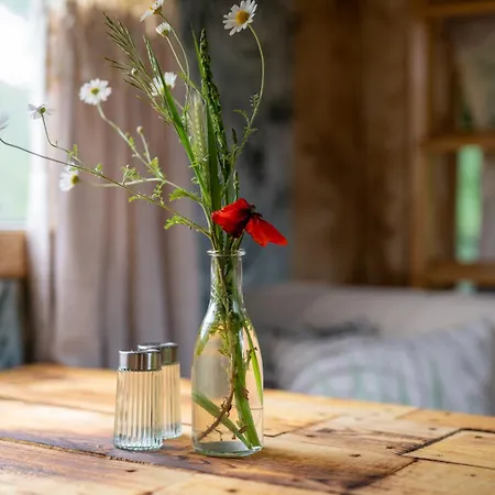 Slow Travel, Aber Auch Gut! Wohnmobil דירה נויסטרליץ