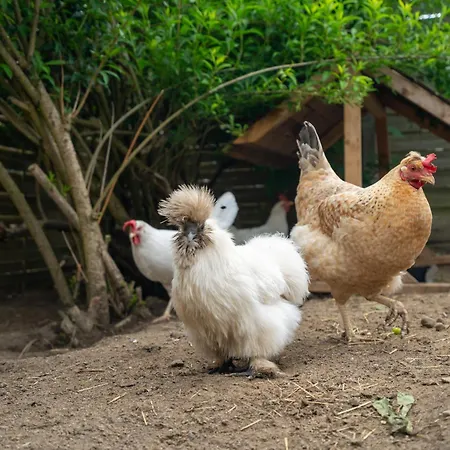 דירה Slow Travel, Aber Auch Gut! Wohnmobil נויסטרליץ