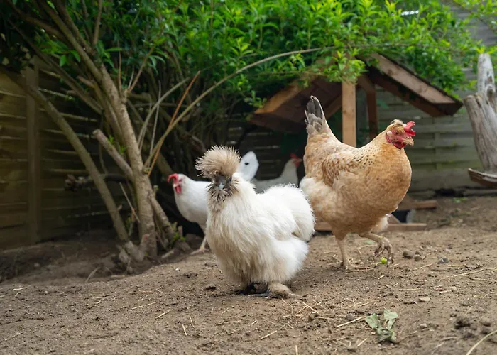 Διαμέρισμα Slow Travel, Aber Auch Gut! Wohnmobil Neustrelitz